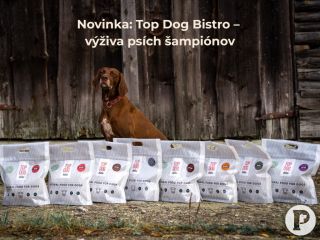 Novinka v ponuke Piper’s Treats! 🥩 Predstavujeme Top Dog Bistro – prémiové BARF menu pre psov, ktoré vzniklo z lásky k...
